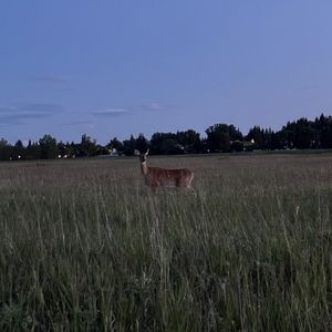 Meet your Posher, Kaitlynn